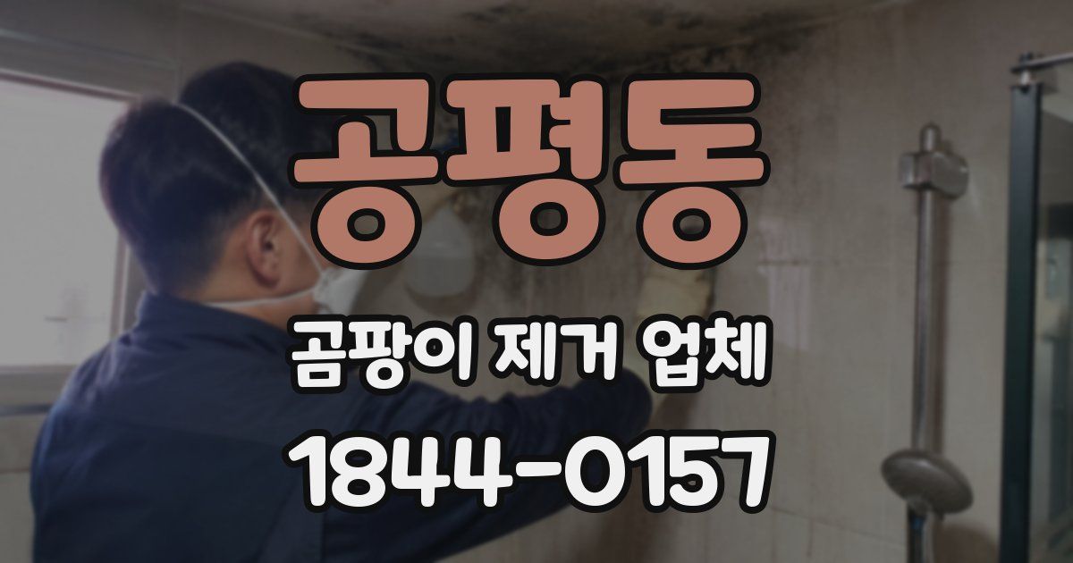 공평동 곰팡이 제거 업체