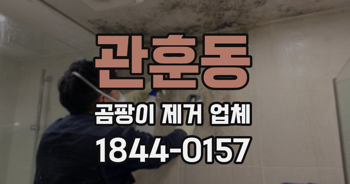 관훈동 곰팡이 제거 업체