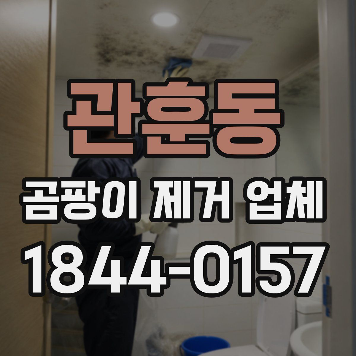 관훈동 곰팡이 제거 업체