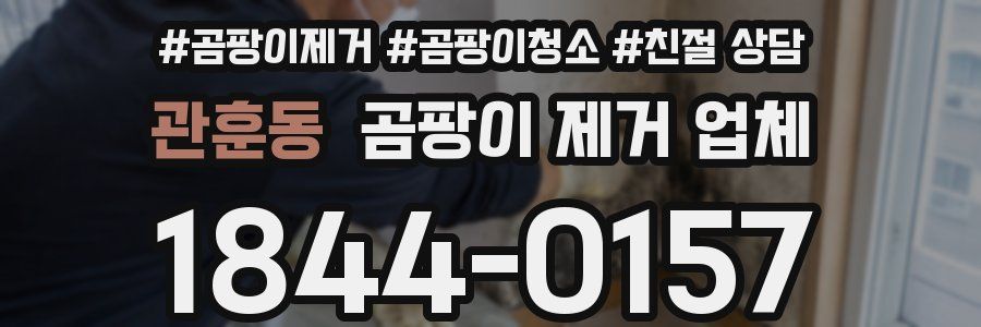 관훈동 곰팡이 제거 업체