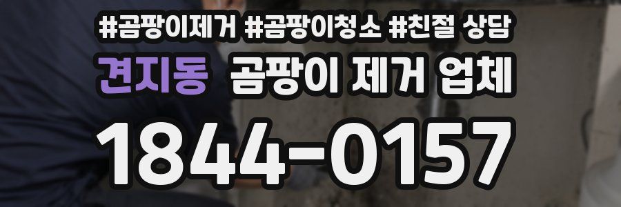 견지동 곰팡이 제거 업체