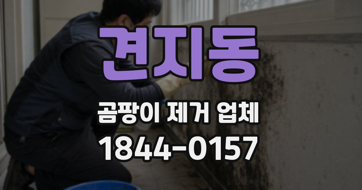 견지동 곰팡이 제거 업체