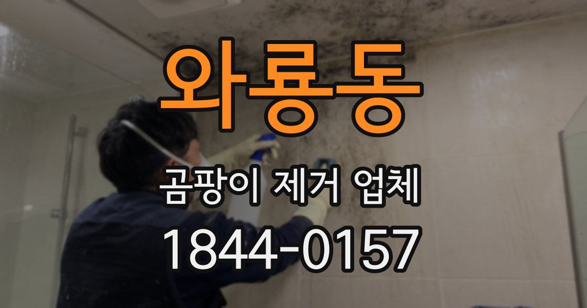와룡동 곰팡이 제거 업체