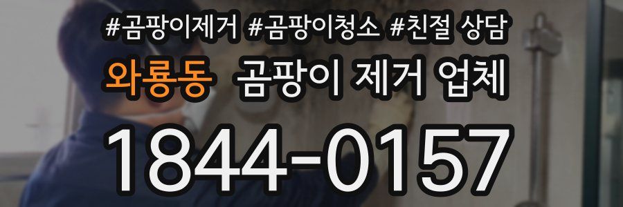 와룡동 곰팡이 제거 업체