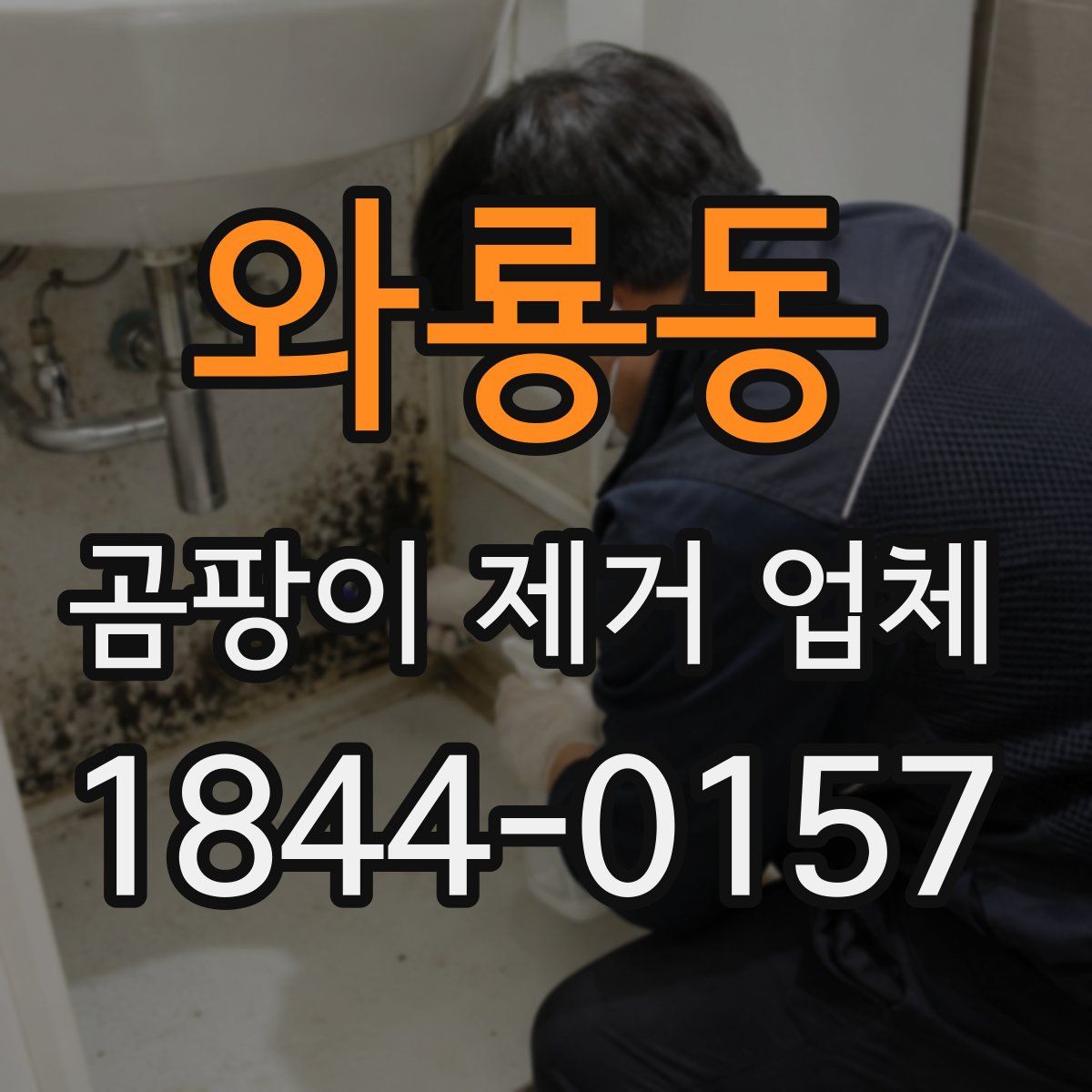 와룡동 곰팡이 제거 업체