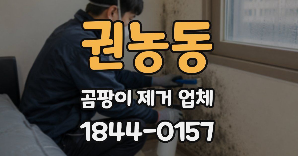 권농동 곰팡이 제거 업체
