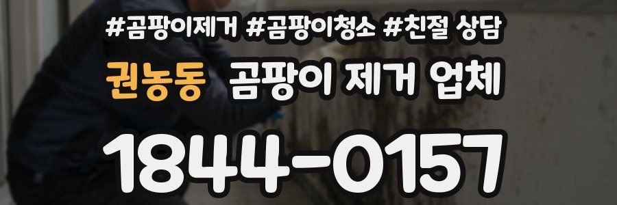 권농동 곰팡이 제거 업체