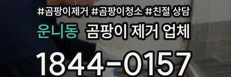 운니동 곰팡이 제거 업체