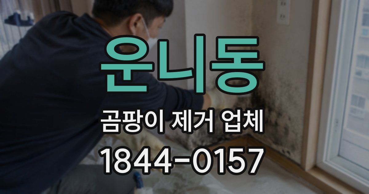 운니동 곰팡이 제거 업체