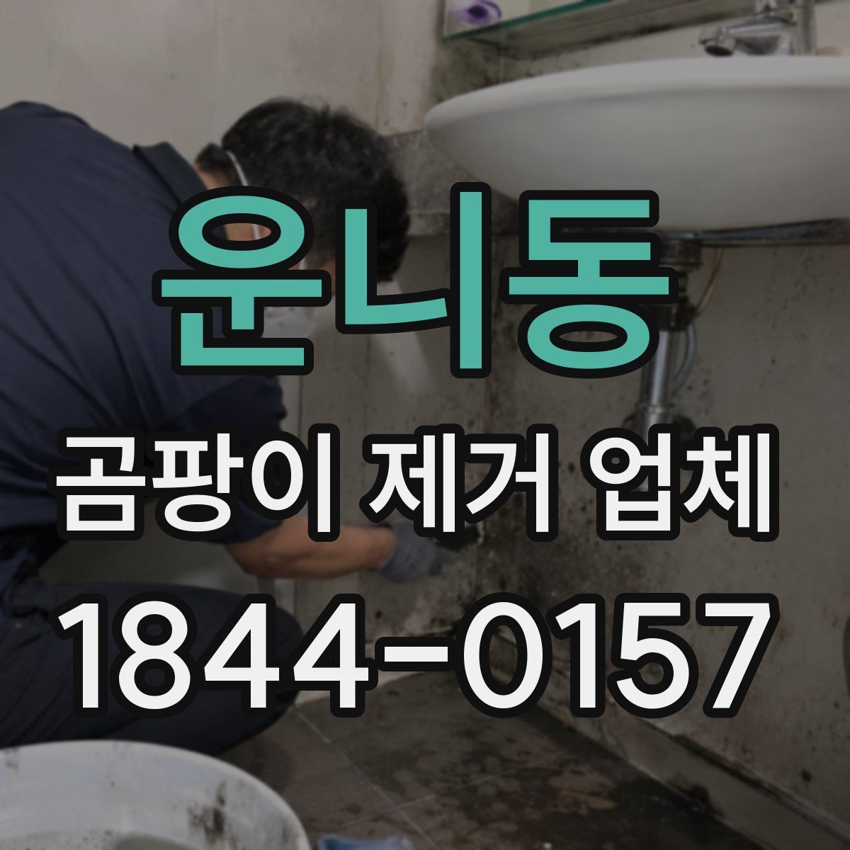 운니동 곰팡이 제거 업체