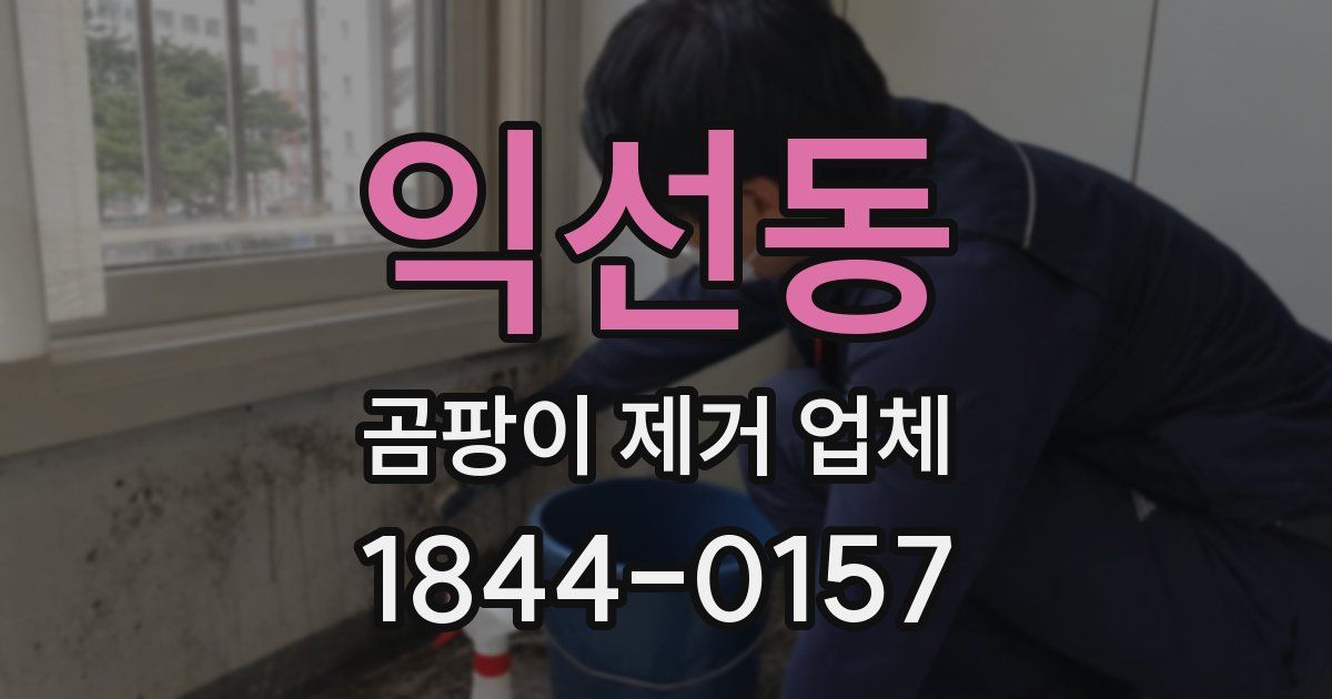 익선동 곰팡이 제거 업체