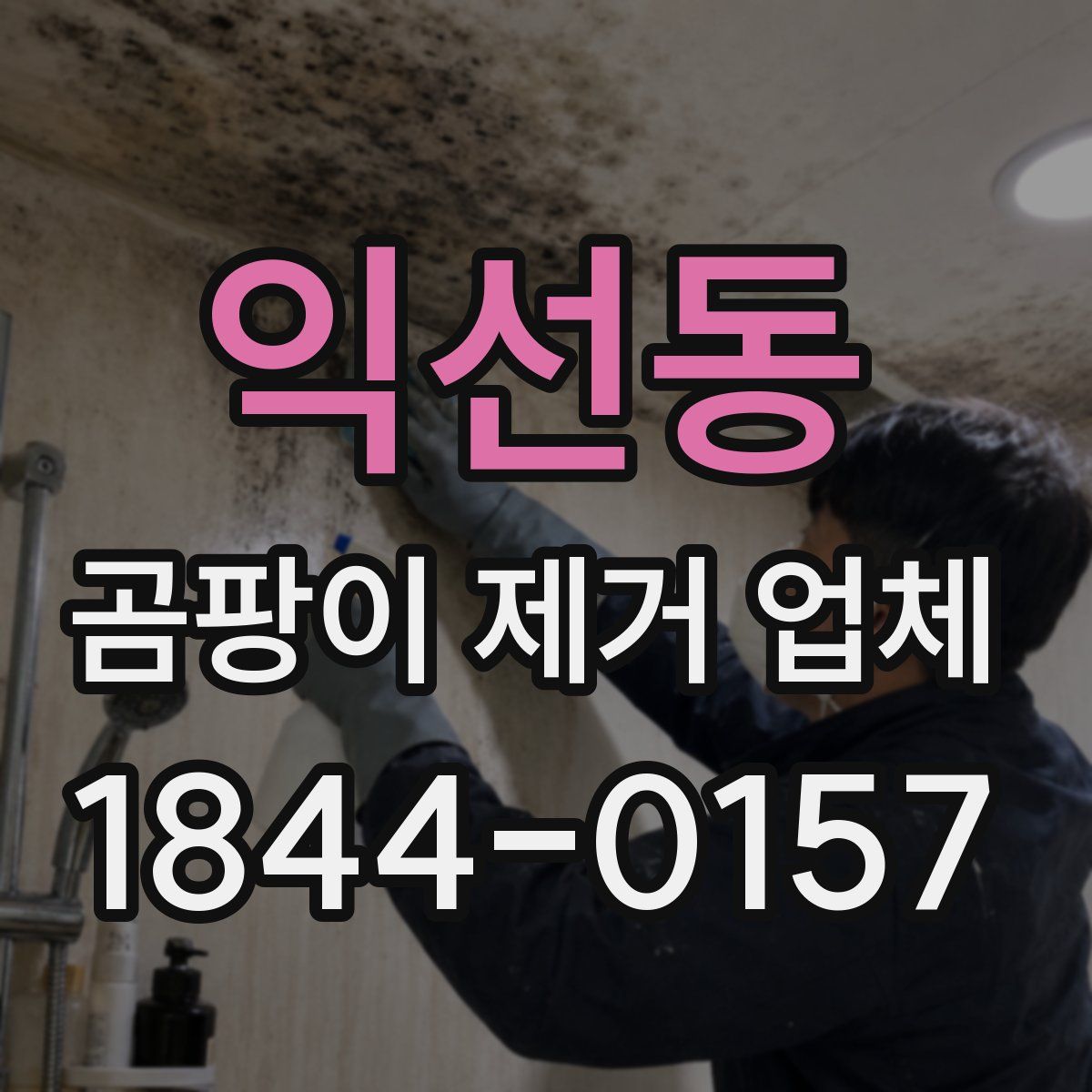 익선동 곰팡이 제거 업체