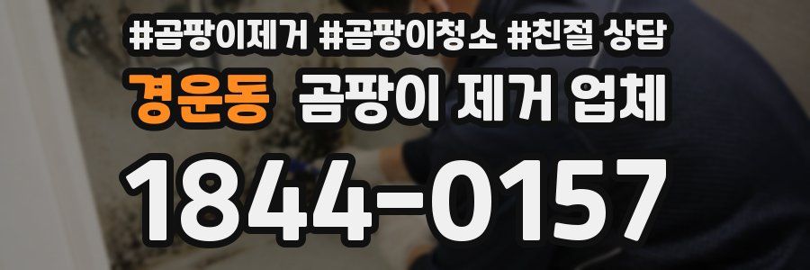 경운동 곰팡이 제거 업체
