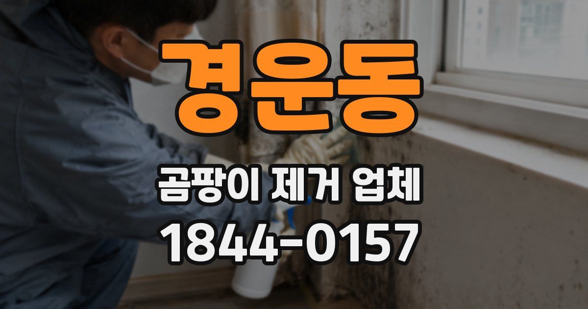 경운동 곰팡이 제거 업체