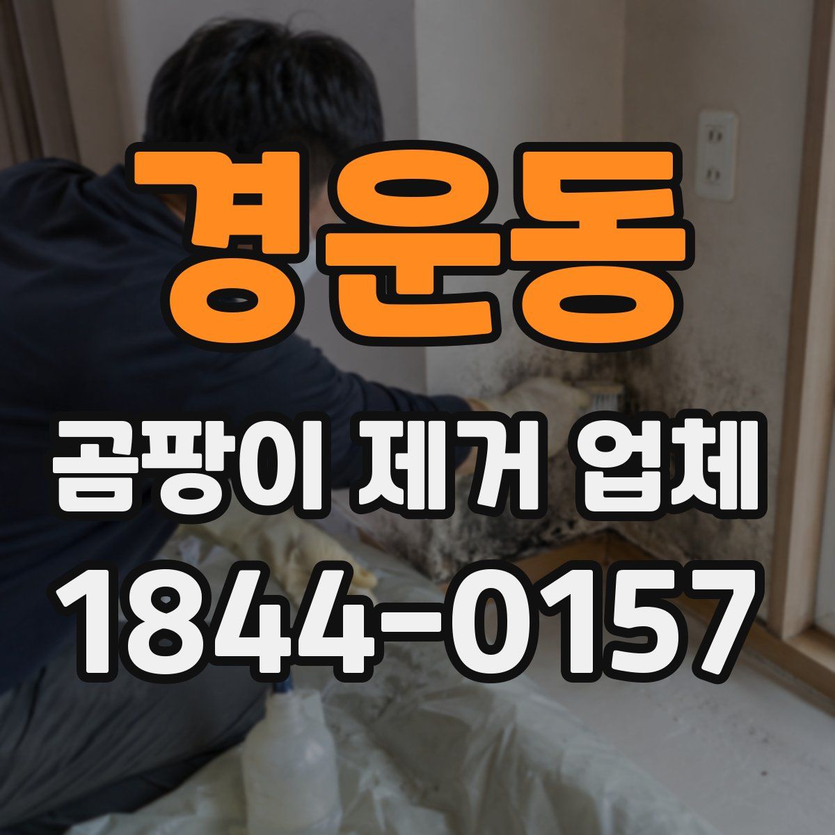 경운동 곰팡이 제거 업체
