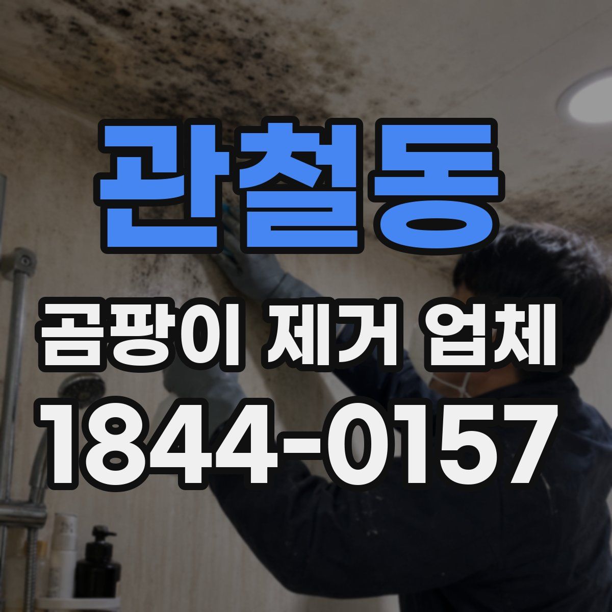 관철동 곰팡이 제거 업체