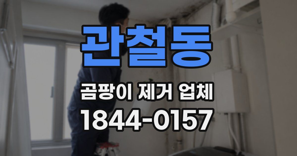 관철동 곰팡이 제거 업체