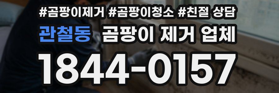 관철동 곰팡이 제거 업체
