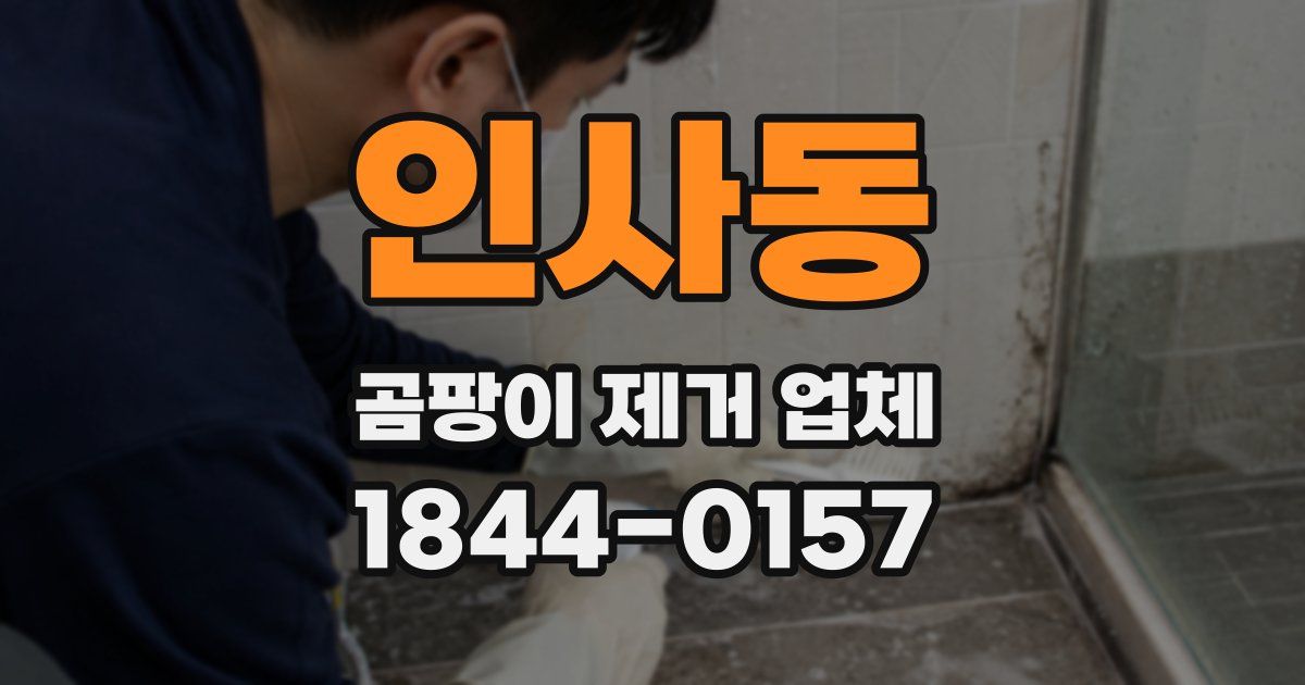 인사동 곰팡이 제거 업체