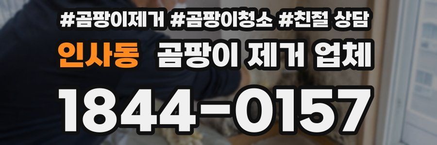 인사동 곰팡이 제거 업체