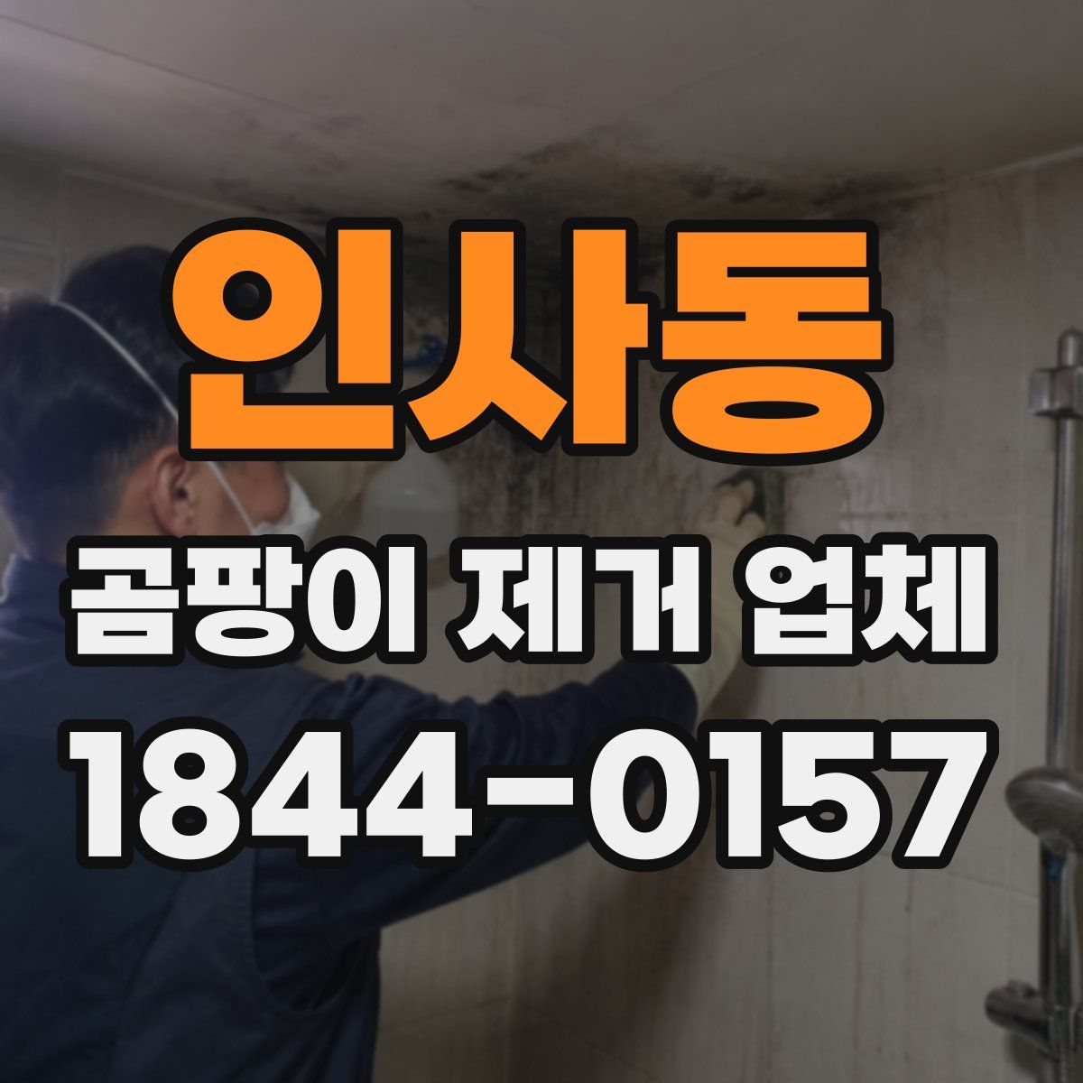 인사동 곰팡이 제거 업체