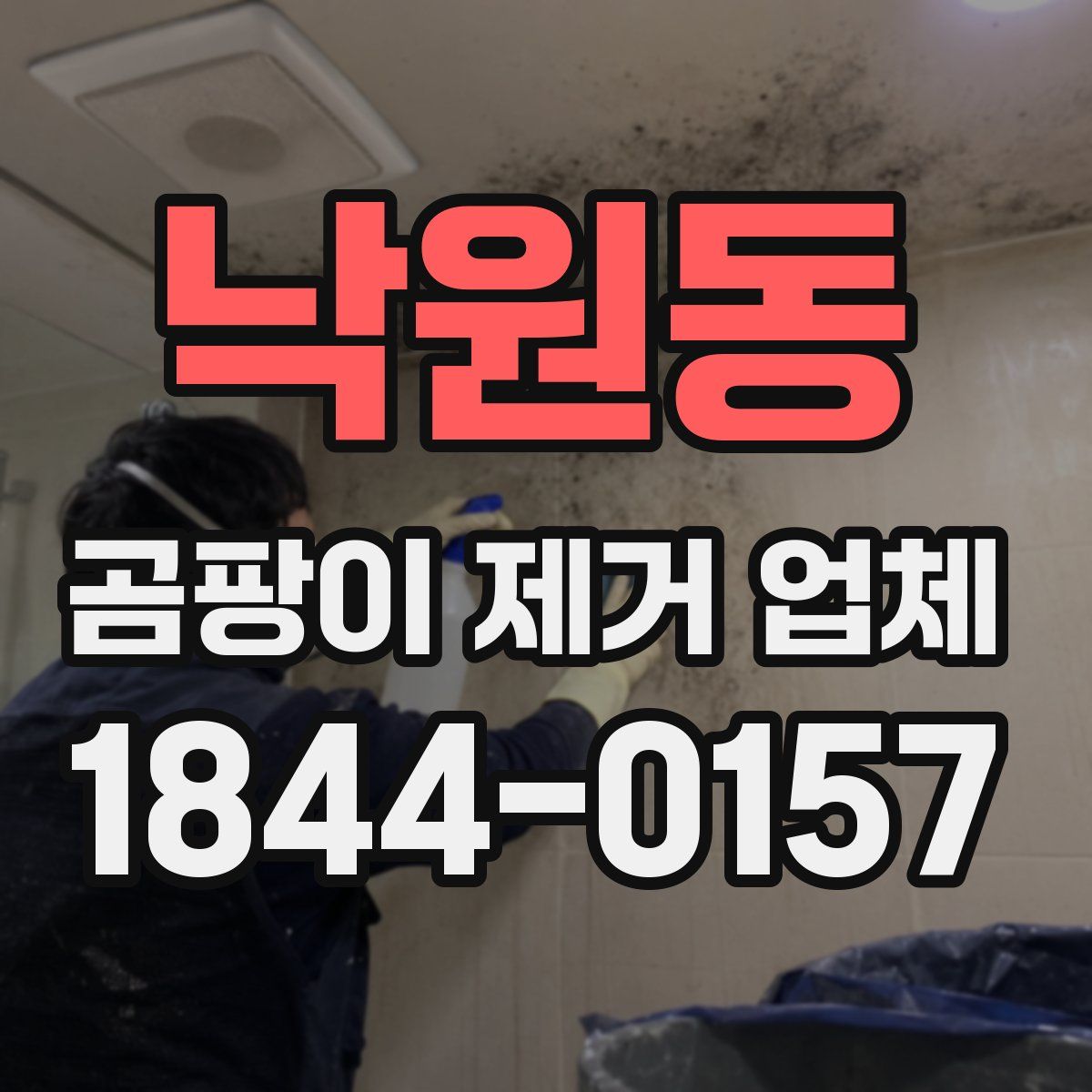 낙원동 곰팡이 제거 업체