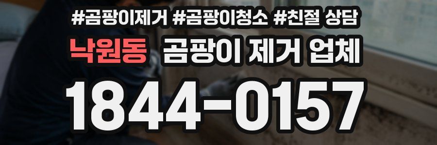 낙원동 곰팡이 제거 업체