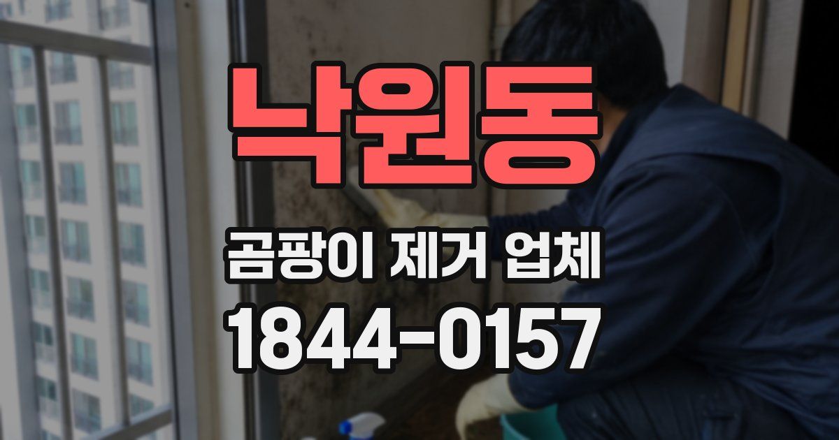 낙원동 곰팡이 제거 업체