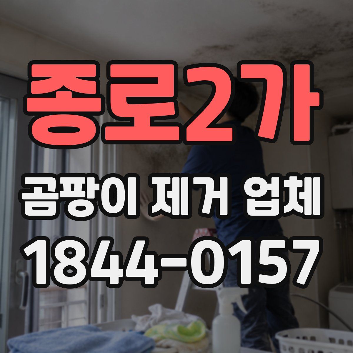 종로2가 곰팡이 제거 업체