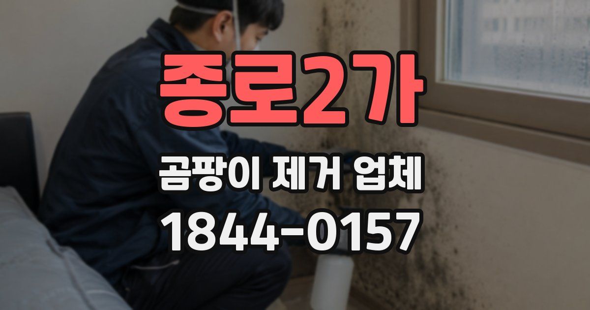 종로2가 곰팡이 제거 업체