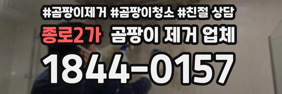 종로2가 곰팡이 제거 업체