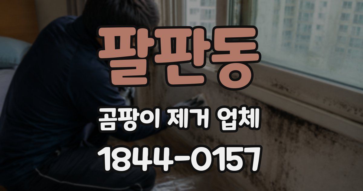 팔판동 곰팡이 제거 업체