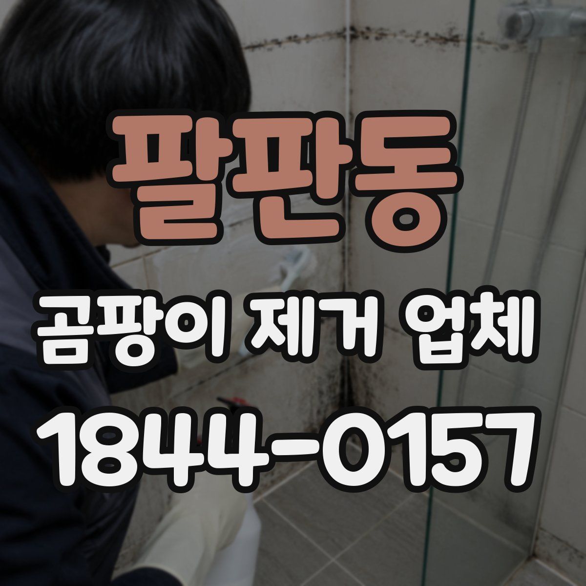 팔판동 곰팡이 제거 업체