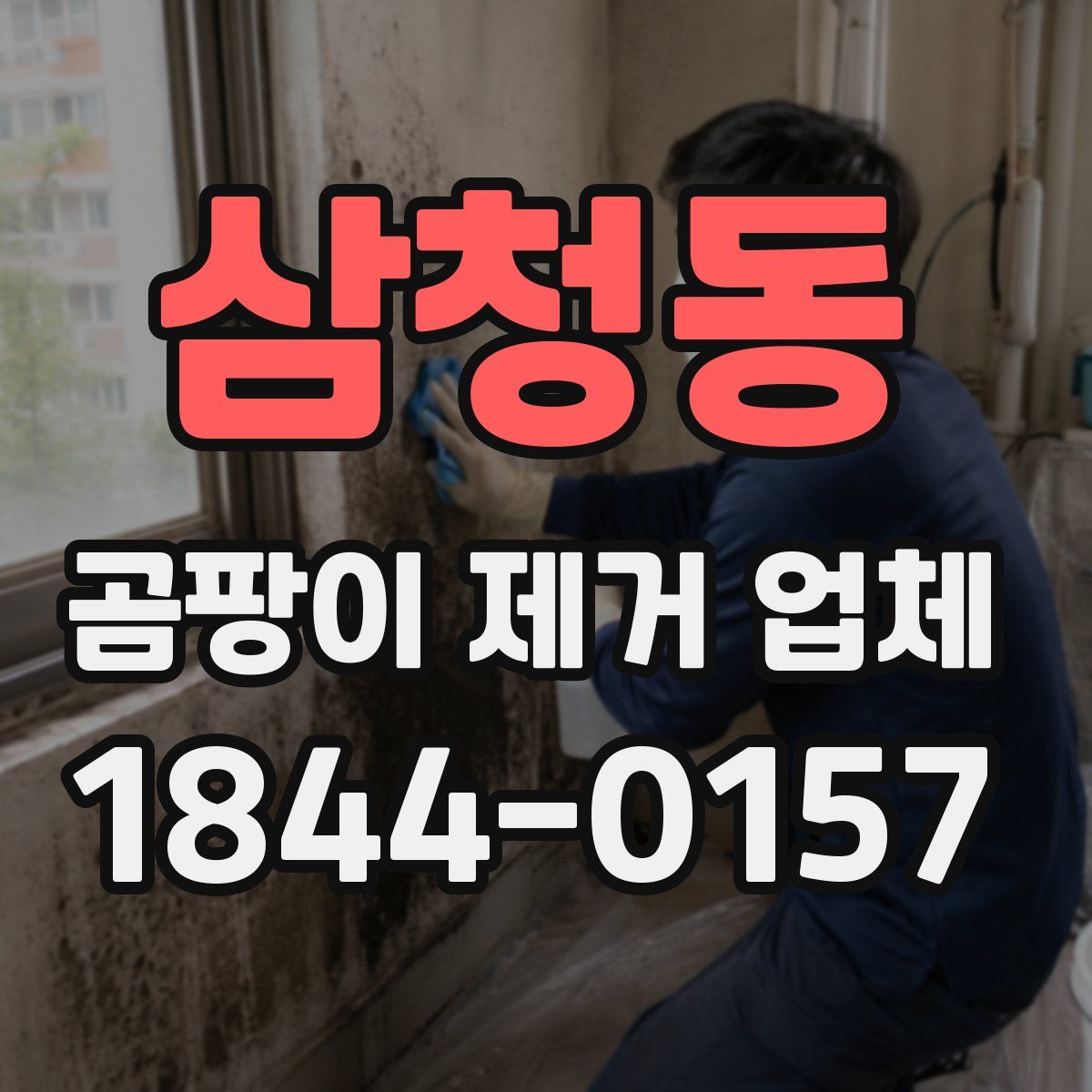 삼청동 곰팡이 제거 업체