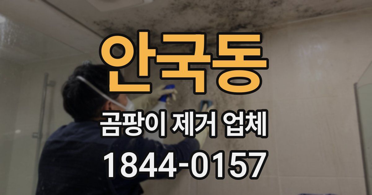 안국동 곰팡이 제거 업체