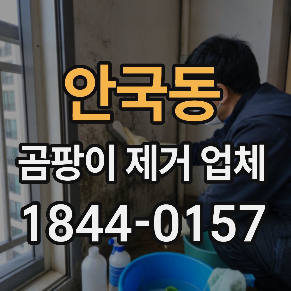 안국동 곰팡이 제거 업체