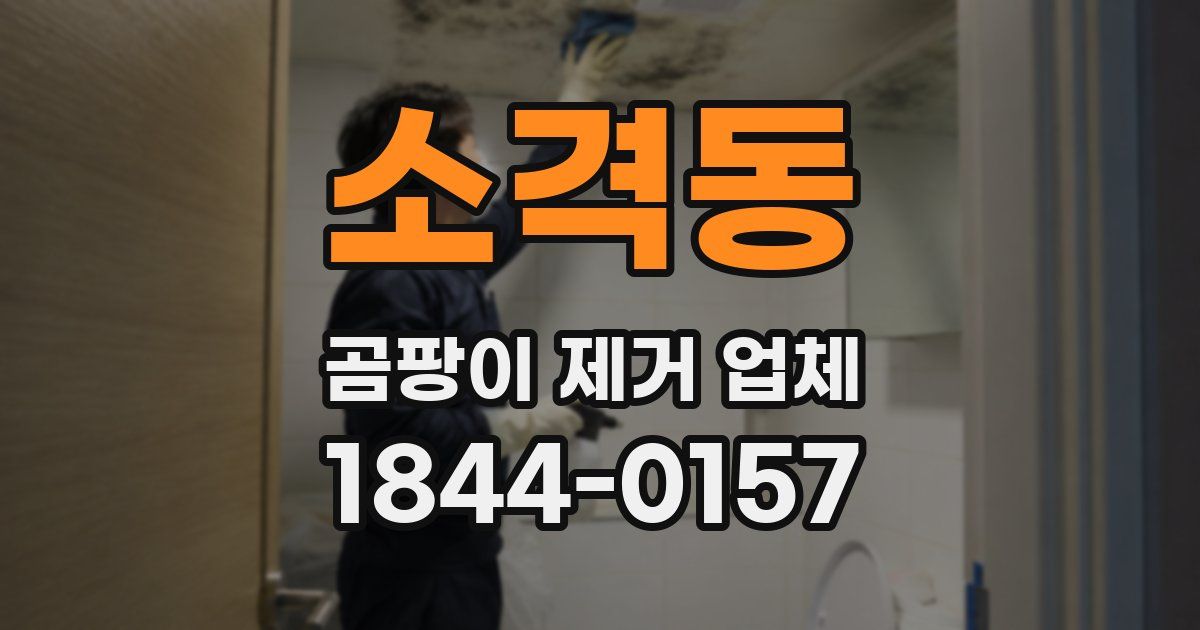 소격동 곰팡이 제거 업체