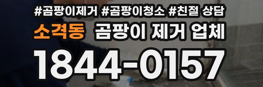 소격동 곰팡이 제거 업체