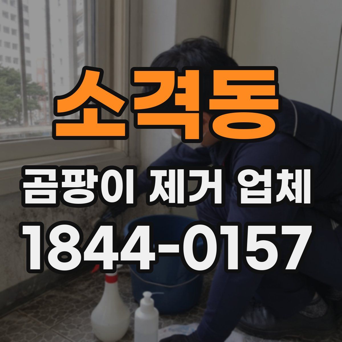 소격동 곰팡이 제거 업체