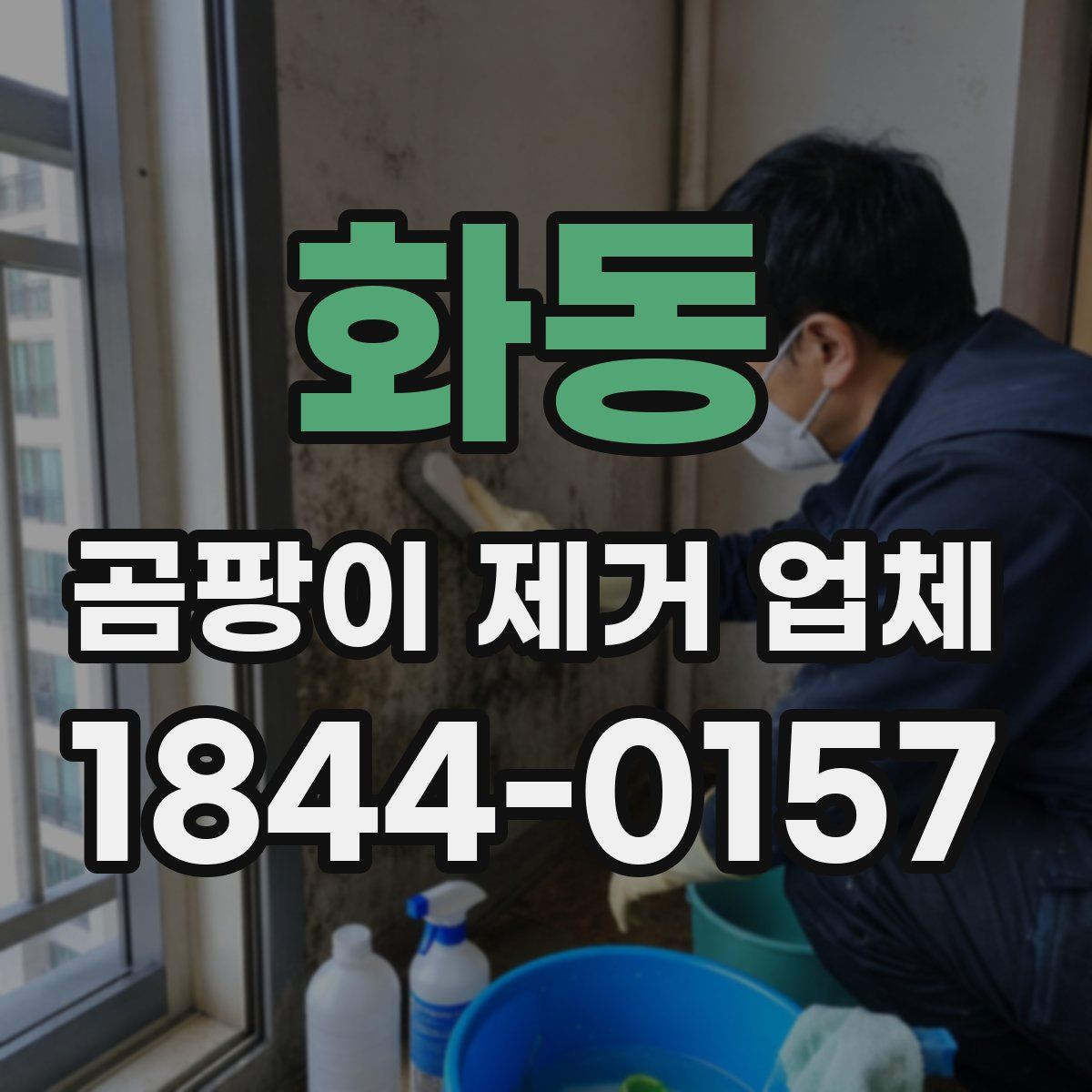 화동 곰팡이 제거 업체