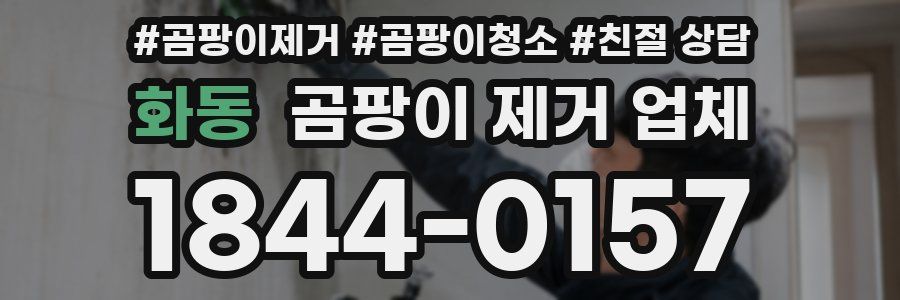 화동 곰팡이 제거 업체
