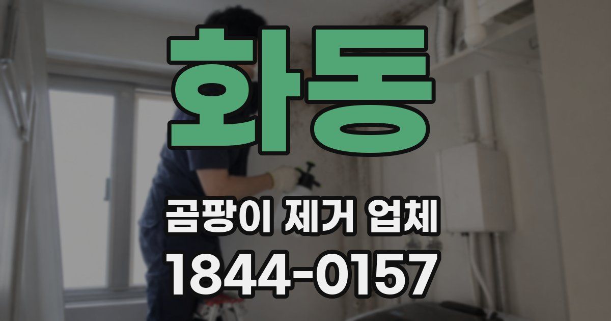 화동 곰팡이 제거 업체
