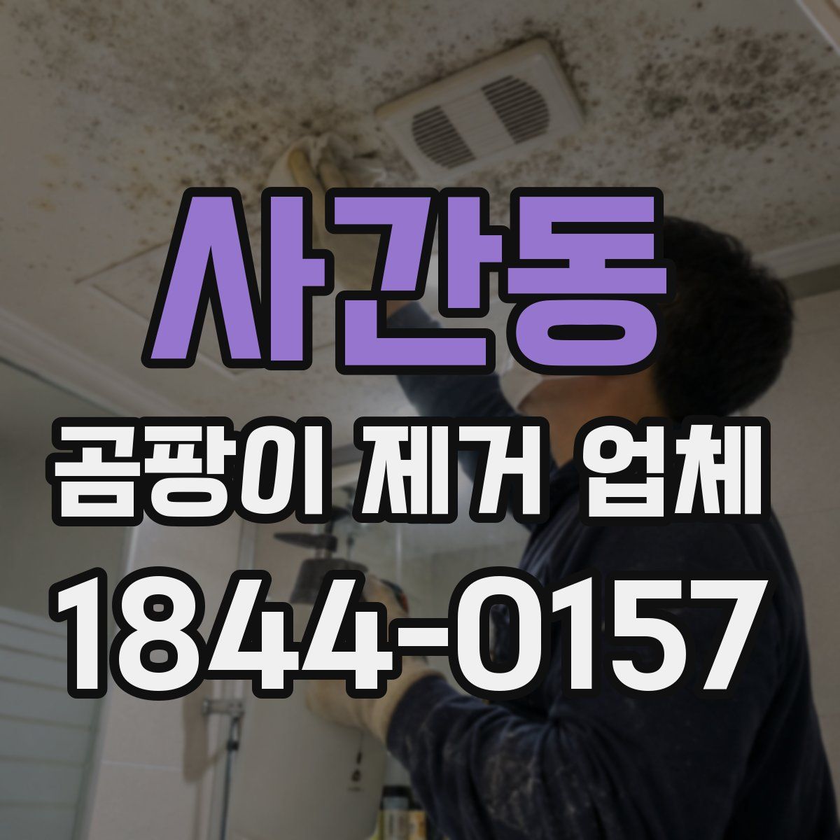 사간동 곰팡이 제거 업체