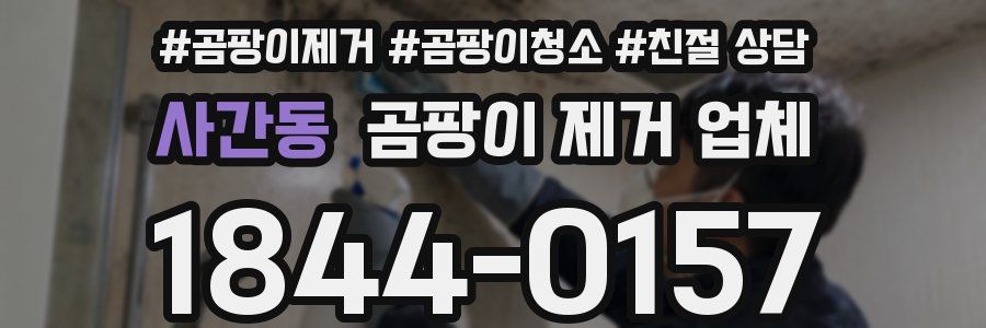 사간동 곰팡이 제거 업체