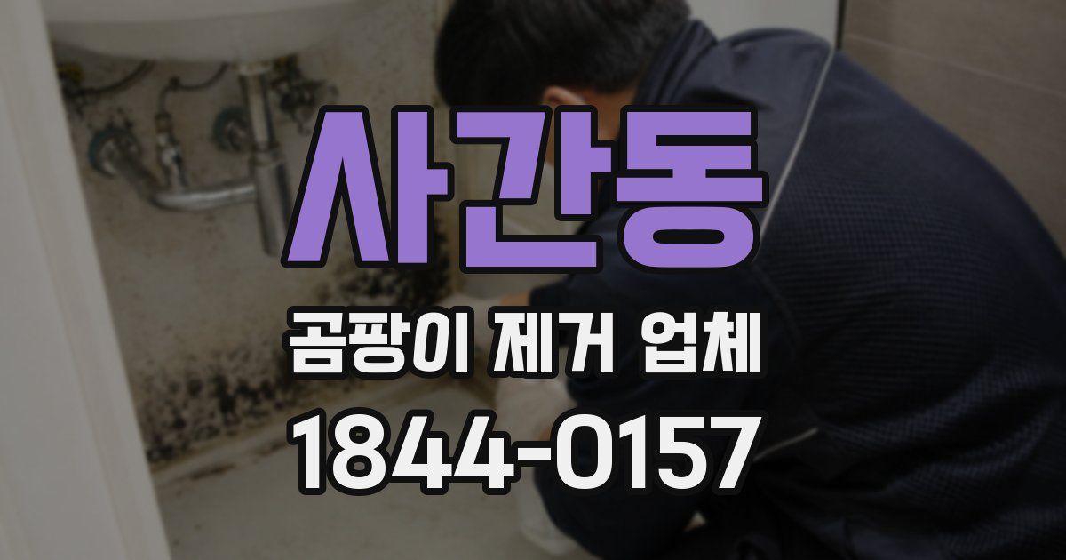 사간동 곰팡이 제거 업체