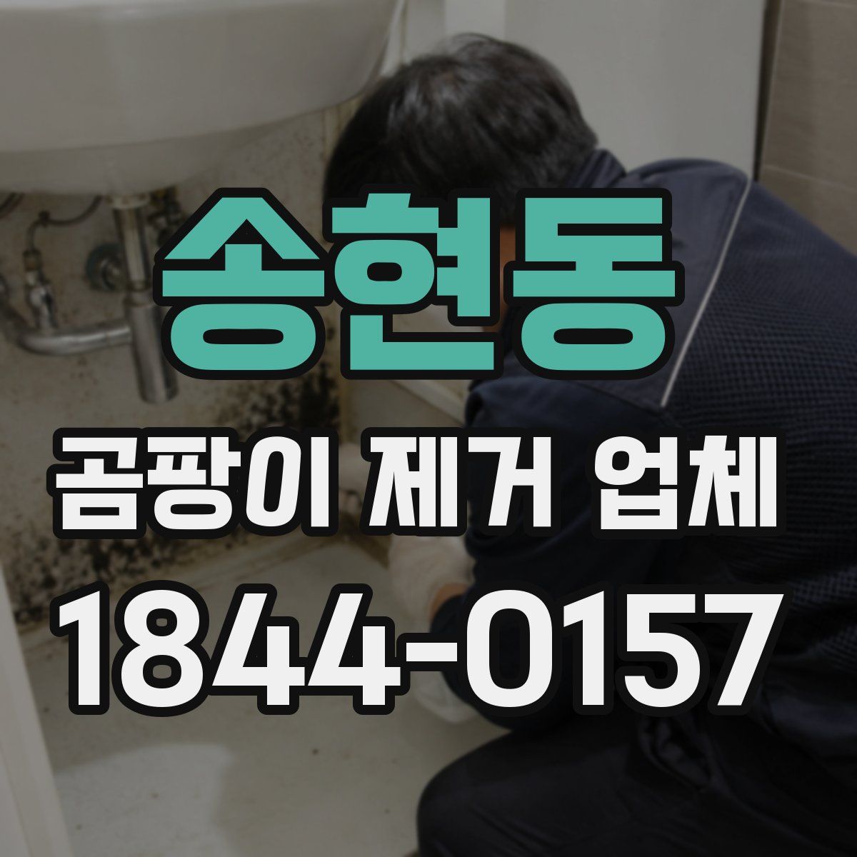 송현동 곰팡이 제거 업체