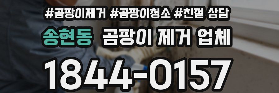 송현동 곰팡이 제거 업체