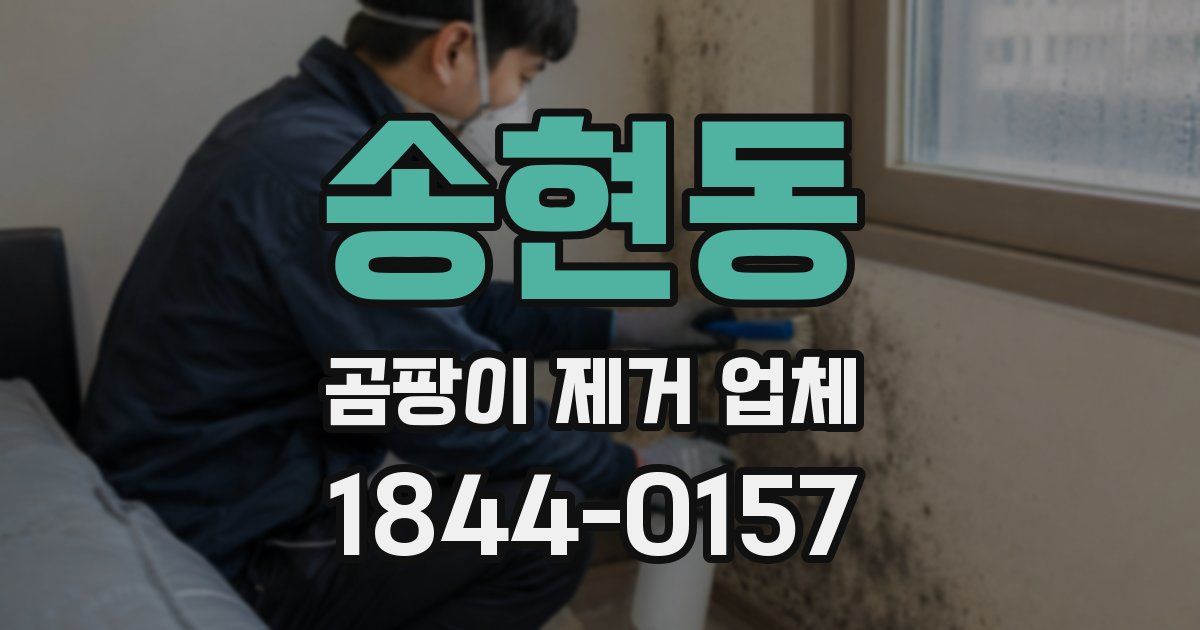 송현동 곰팡이 제거 업체