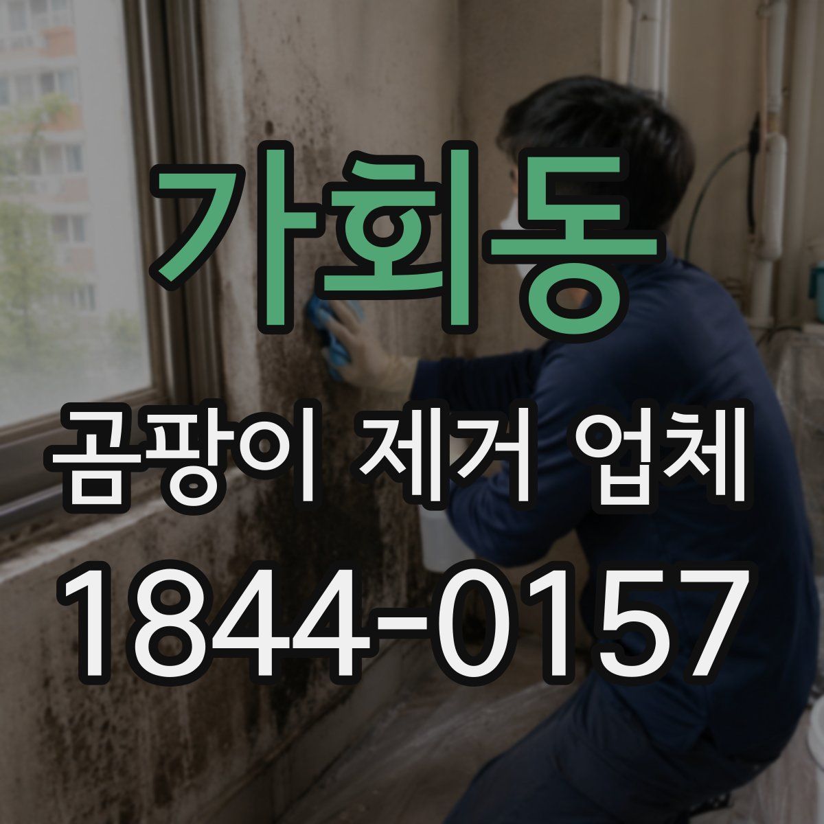 가회동 곰팡이 제거 업체