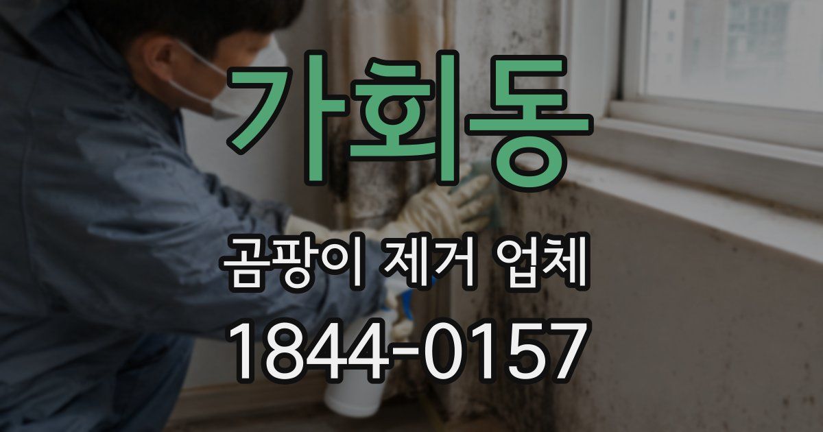 가회동 곰팡이 제거 업체